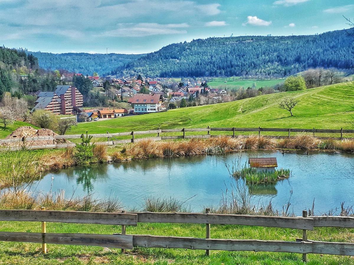 Апартаменти Schwarzwald Woelkchen Баїрсбронн Екстер'єр фото