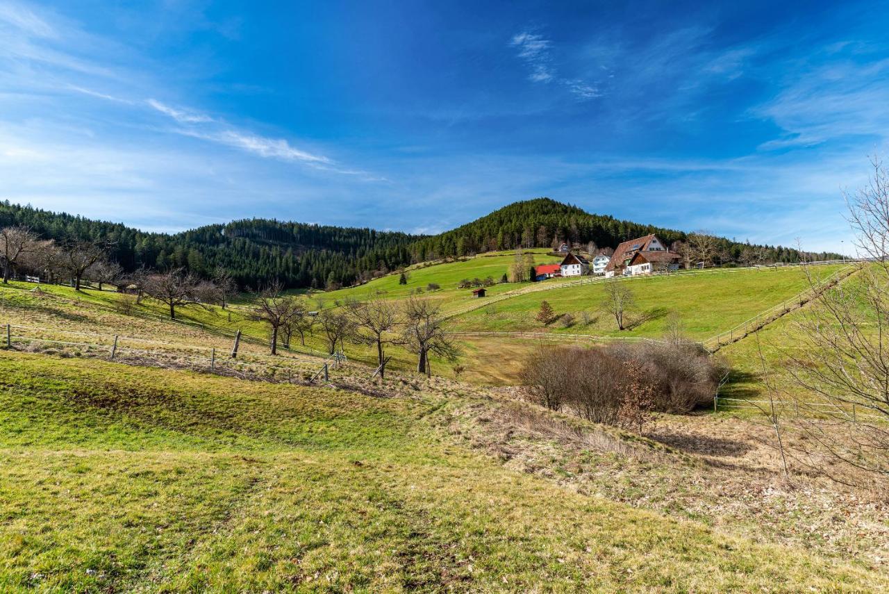 Апартаменти Schwarzwald Woelkchen Баїрсбронн Екстер'єр фото